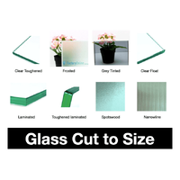 Custom Cut | Glass